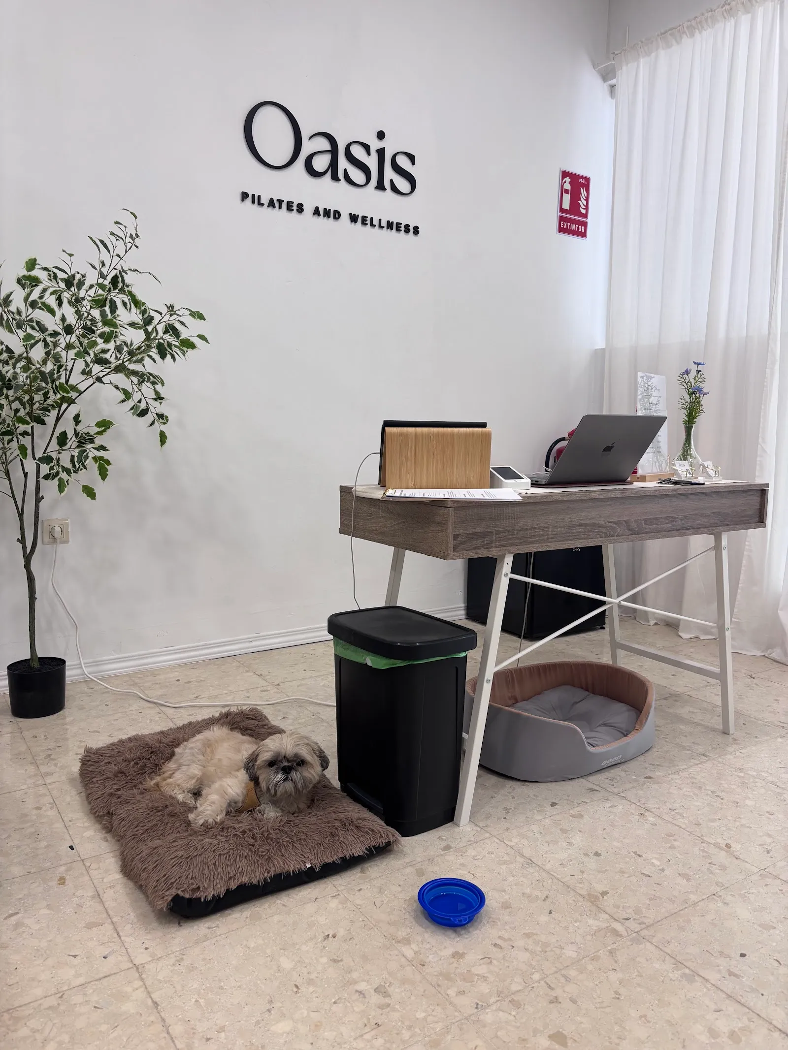 PILATES AND CARE — pilates-studio en Estepona — 4