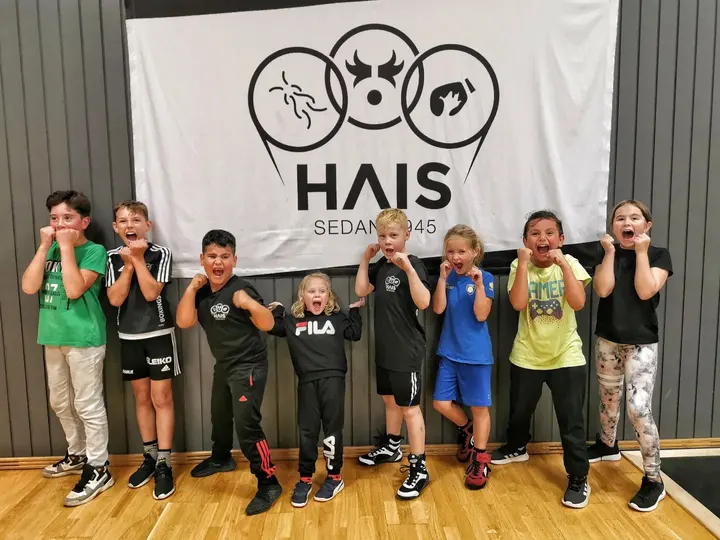 Halmstads Allmänna IS — boxning-studio i Sannarp, Halmstad — 2
