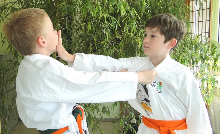 Das Dojo für Aikido und Karate, Augsburg e.V. — kampfsport-studio in Lechhausen-Ost, Augsburg-Lechhausen — 3