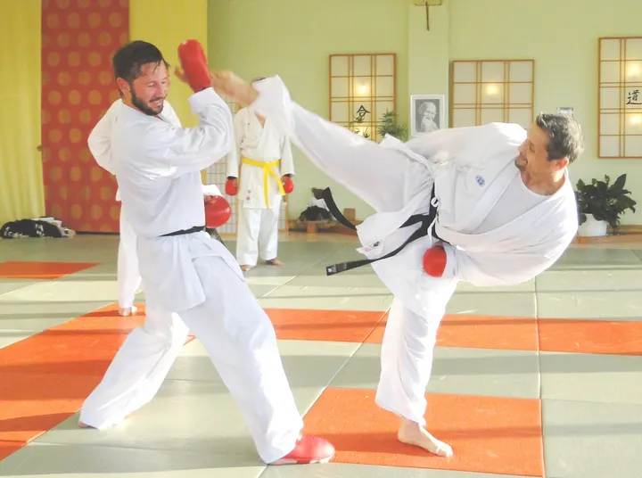 Das Dojo für Aikido und Karate, Augsburg e.V. — kampfsport-studio in Augsburg-Lechhausen — 3