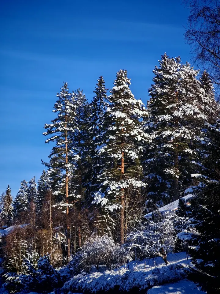 Jooga, hieronta, meditaatio ja musiikkiterapia — meditaatio-studio – Mannila, Jyväskylä — 3