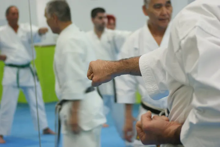 KARATE CLUB SHUTO — Martial Arts en Torreforta, Tarragona