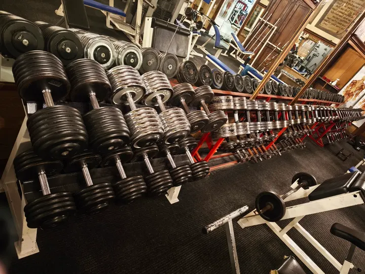 Body Power Studio Weißenthurm — Fitnessstudio in Weißenthurm, Koblenz