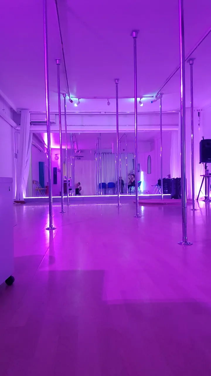 Nice Art Pole Dance — pole fitness-studio à Nice — 3