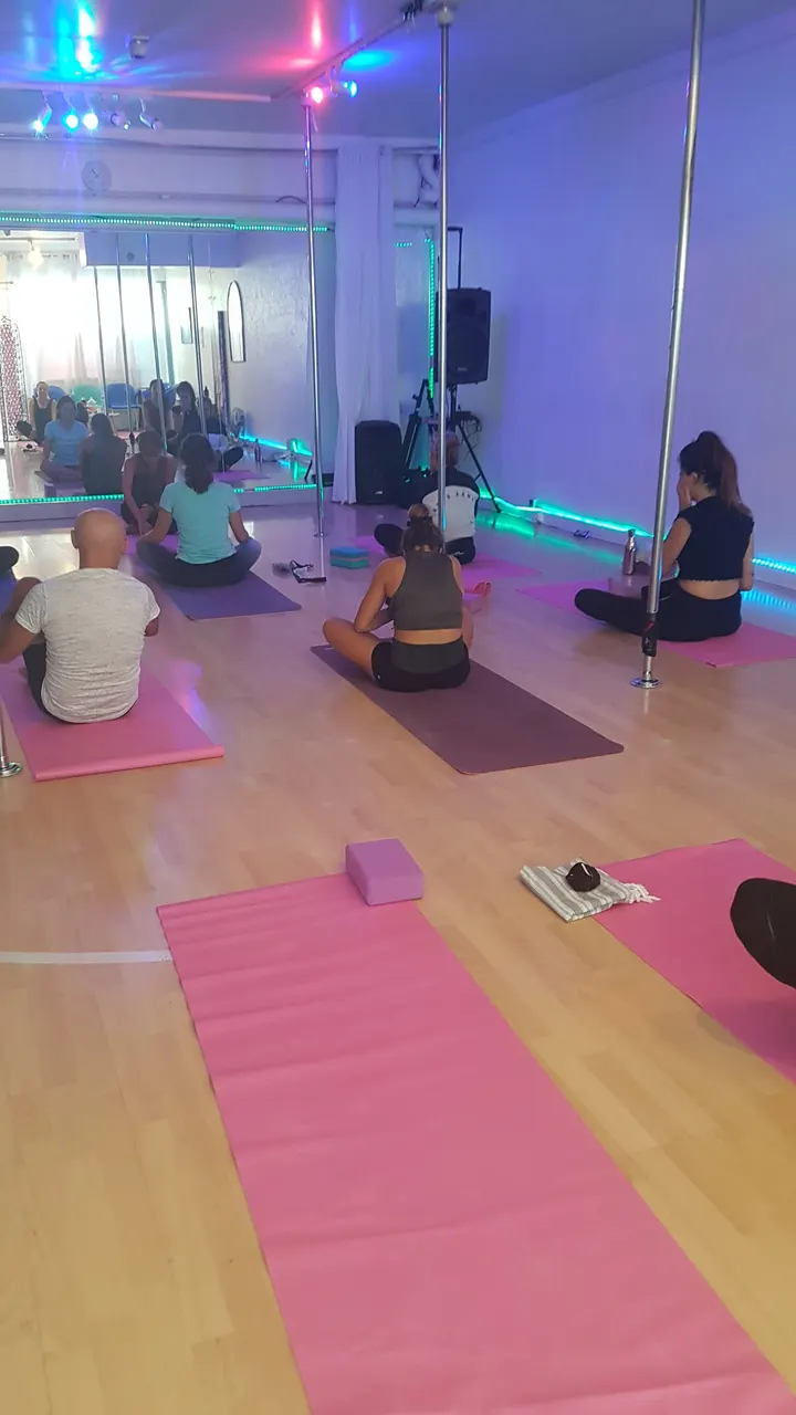 Nice Art Pole Dance — pole fitness-studio à Nice — 5