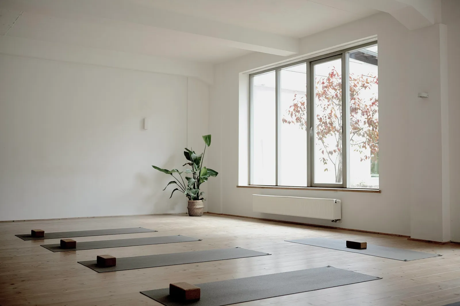Shivasloft - Pempelfort NEU — yoga-studio i Düsseldorf — 6