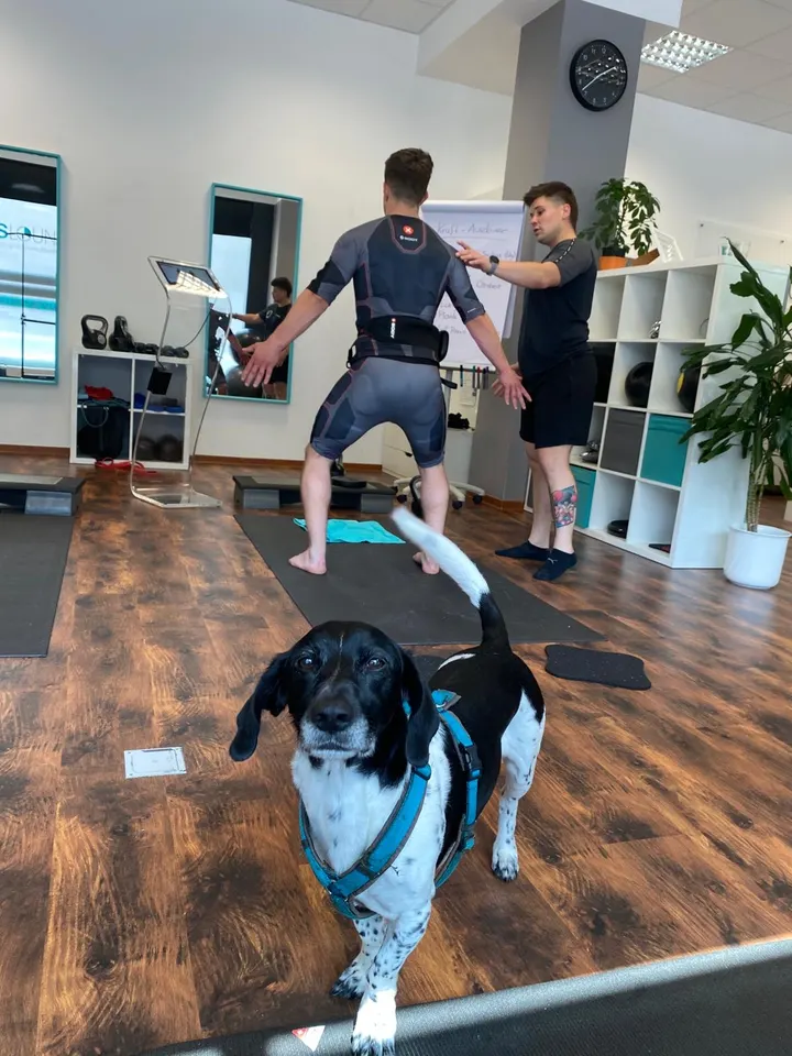 EMS-LOUNGE Fulda-Mitte — ems-training-studio in Innenstadt, Fulda — 3