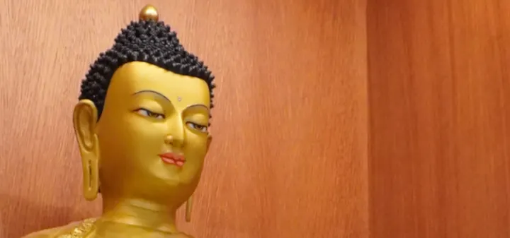 Kagyu Samye Dzong Las Palmas — meditación-studio en Miller Bajo, Las Palmas de Gran Canaria — 2