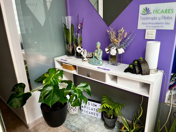 Ficares fisioterapia y Pilates — pilates-studio en Argentina, Cáceres — 2