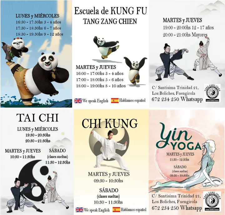 TANG ZANG CHIEN KUNG FU TAI CHI CHI KUNG — artes marciales-studio en Fuengirola — 4