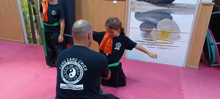 TANG ZANG CHIEN KUNG FU TAI CHI CHI KUNG — Artes marciales en Los Boliches, Fuengirola