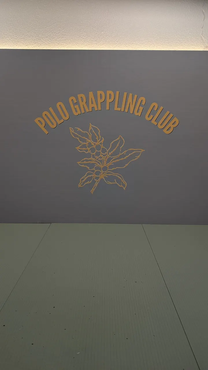 Polo Grappling Club — jjb-studio à Paris — 4