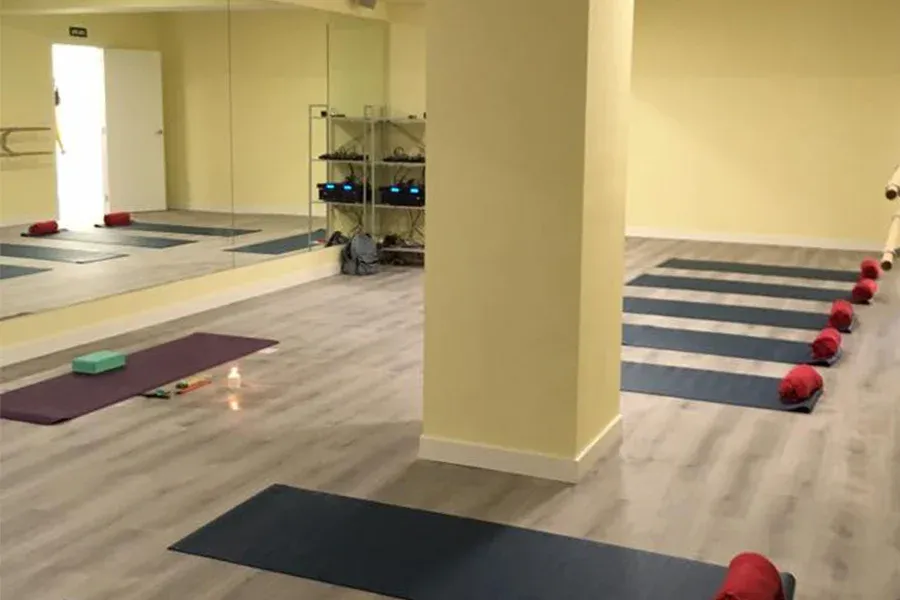 Danceando — dans-studio i Madrid — bild 4