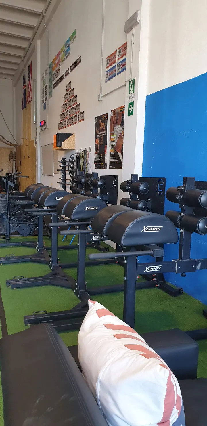 Bad Boars CrossFit — crossfit-studio a Sassari — 3