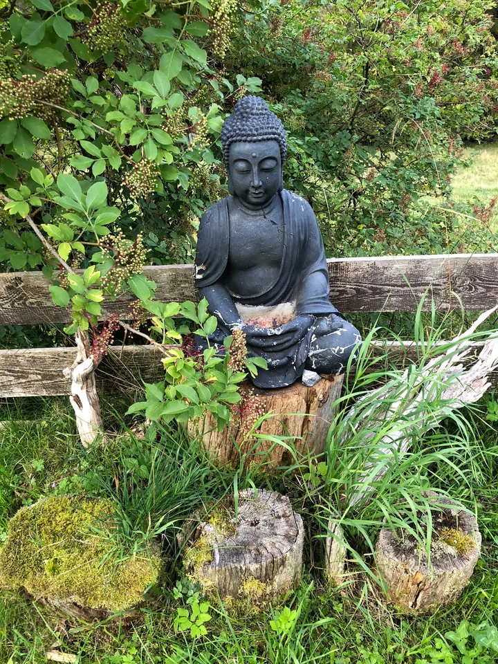 Yinyasa School — yoga-studio in Zaberfeld — 3