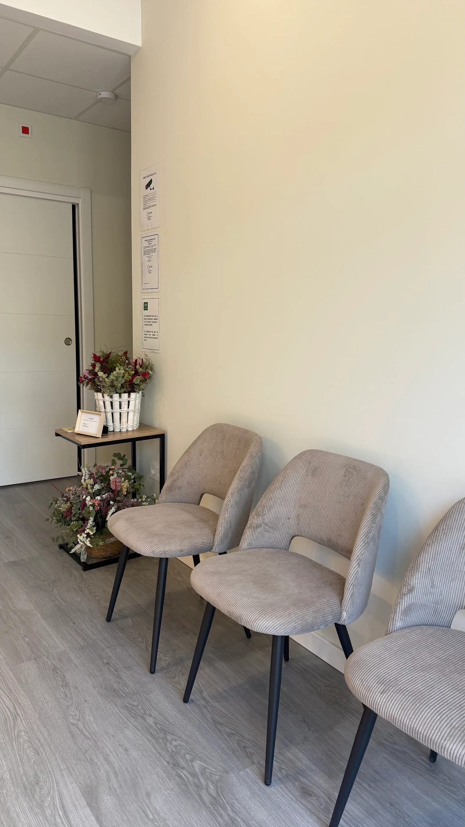 Cálido Studio | Centro de Pilates en Córdoba — pilates-studio en Distrito Noroeste, Córdoba — 3