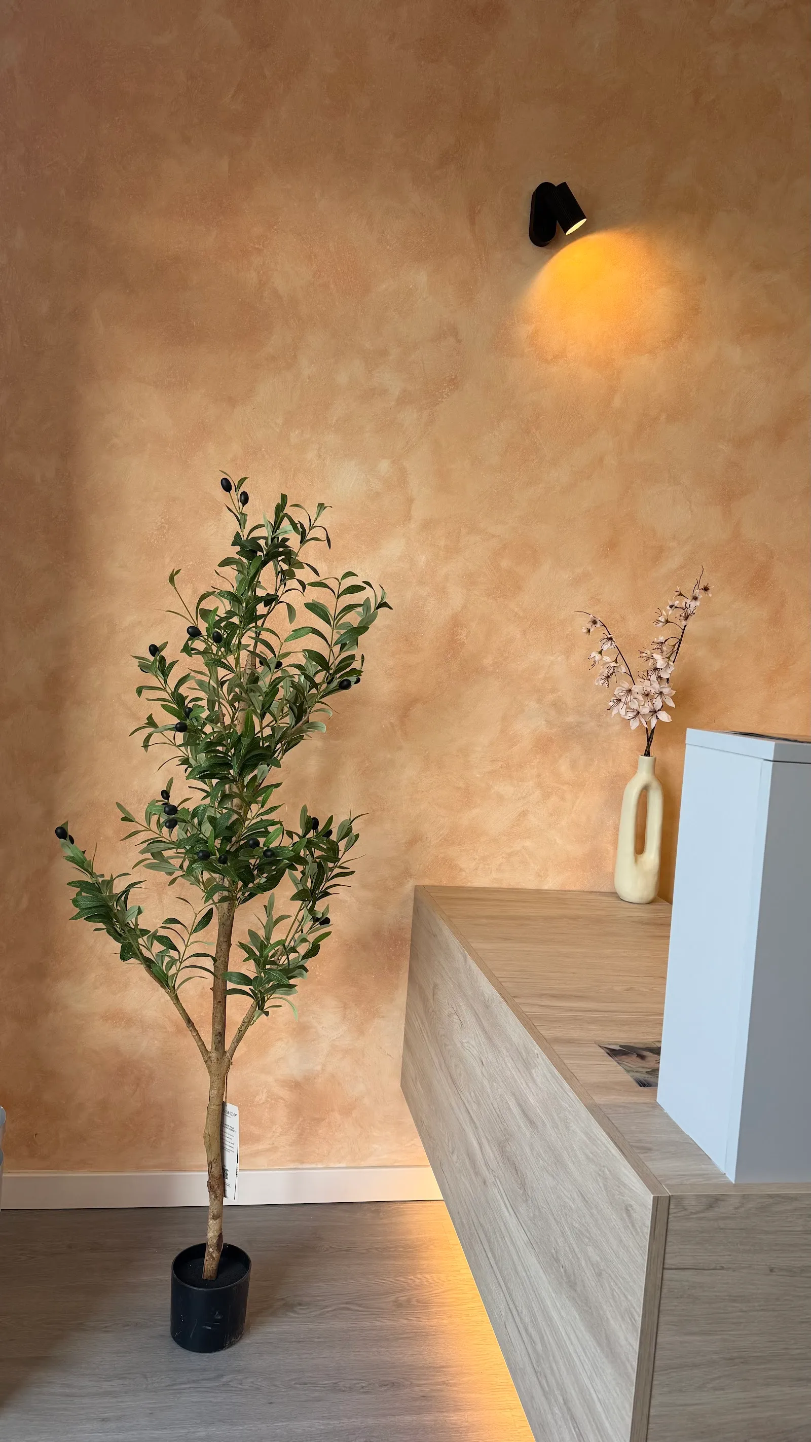 Cálido Studio | Centro de Pilates en Córdoba — pilates-studio en Córdoba — 3