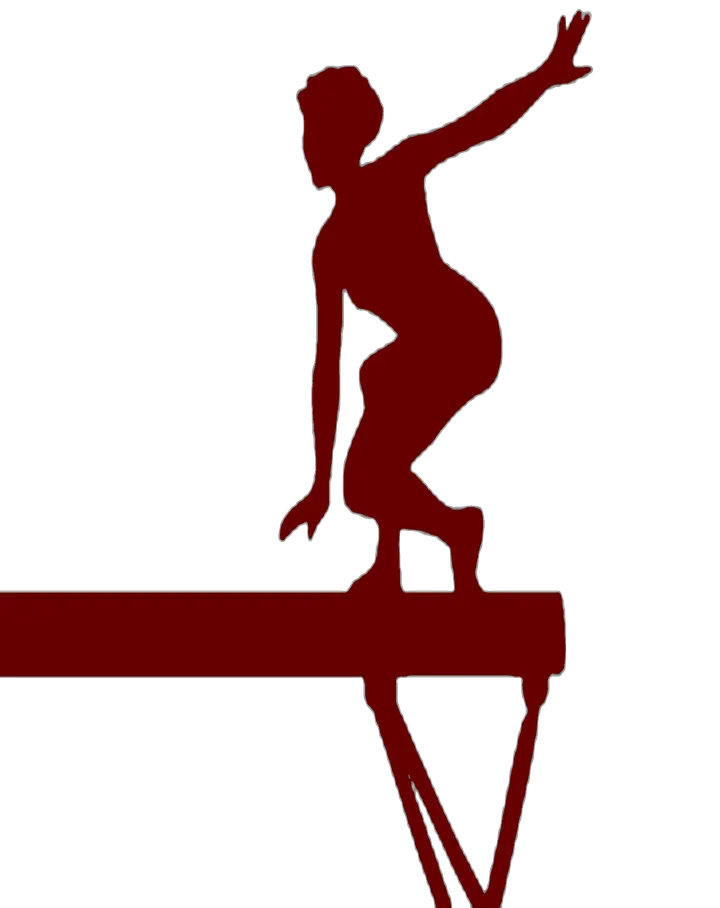 Gymnastiek- en Turnvereniging Dionysius — sportschool-studio in Tilburg — 3