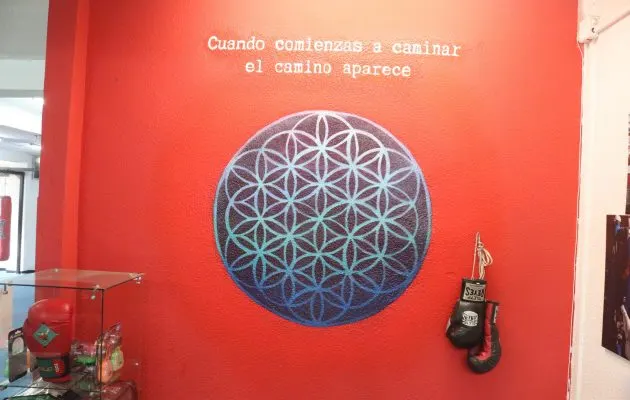 Boxeo El Rayo - Carabanchel — artes marciales-studio en Carabanchel, Madrid — 3