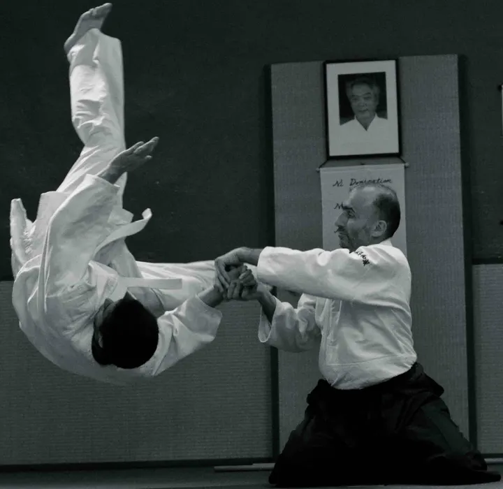 Académie d'Aikido de Lyon — arts martiaux-studio à Lyon — 4
