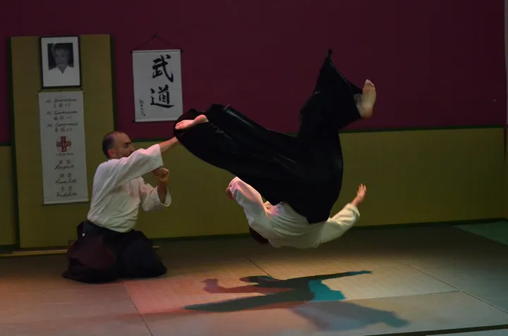 Académie d'Aikido de Lyon — Arts martiaux à Lyon 3e Arrondissement, Lyon