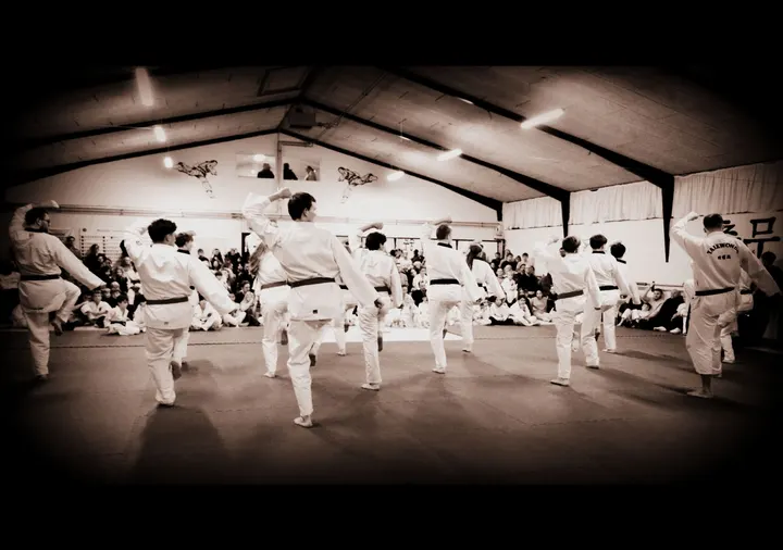 Risskov Taekwondo klub — kampsport-studio i Risskov — 6