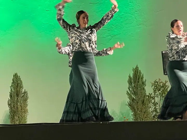 Estudio De Danza Esperanza De Los Reyes — baile-studio en Los Ángeles, Ciudad Real — 2