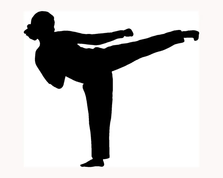 Budokwai ry Karate — martial arts-studio i Långbacka, Turku