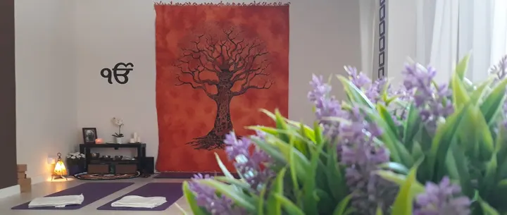 Sangat. Centro de Yoga — yoga-studio en Alcorcón — 4