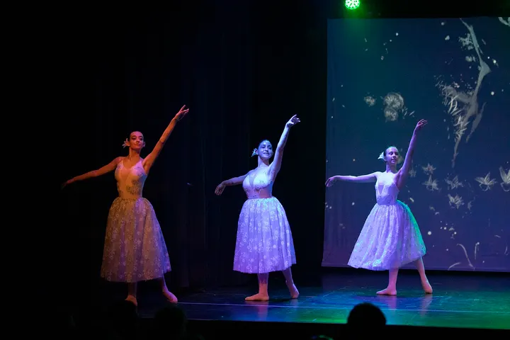 ArtDansa — baile-studio en Son Costa, Palma — 2