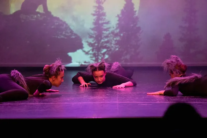 ArtDansa — baile-studio en Palma — 4
