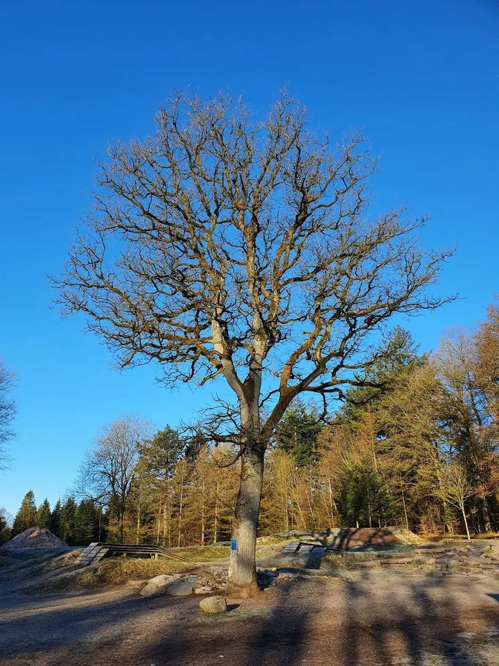 Undallslund Trailcenter — træningsstudio i Viborg — 4