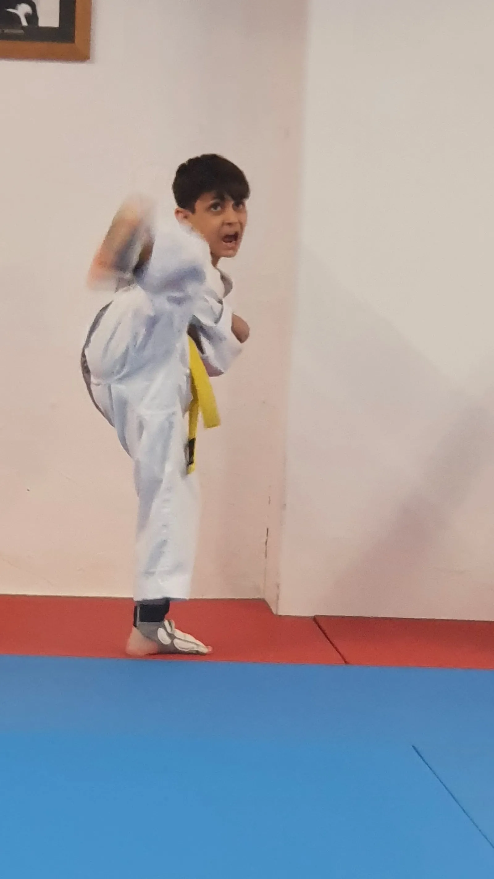Judo-Vereinigung Siegerland e.V. — kickboxen-studio in Siegen — 3
