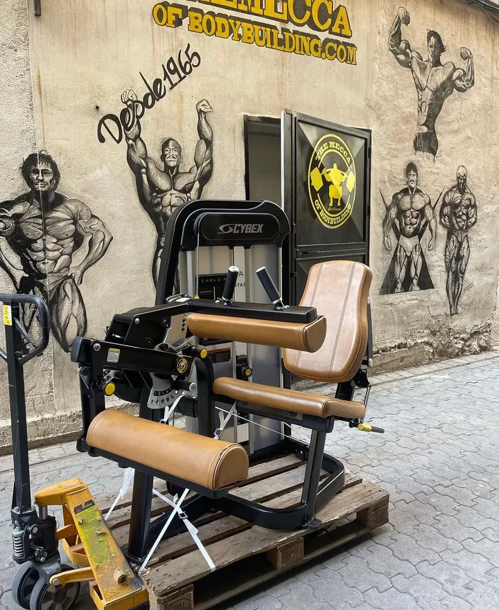 The Mecca Gym Granada By Sta Monica 1965 — estudio de fitness-studio en Granada — 5