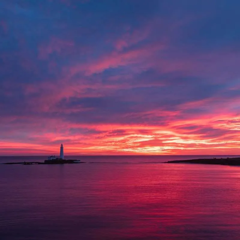 Tyde Sea View Sauna — recovery-studio in Whitley Bay — 3
