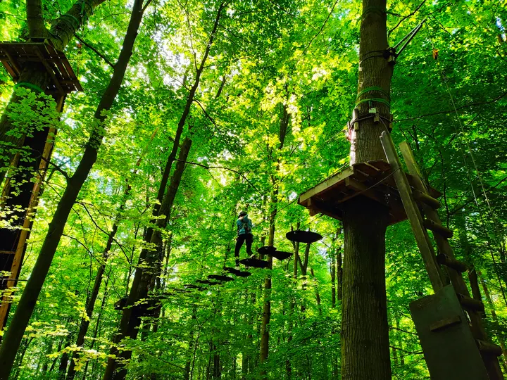 Kletterwald Schwindelfrei — Klettern in Pingsdorf, Brühl