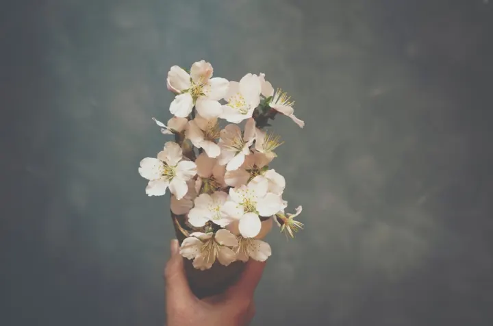 Yoga Elements — Yoga in Ruislip, London
