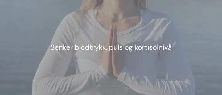 HehaniYOGA — yoga-studio i Bekkestua — 6