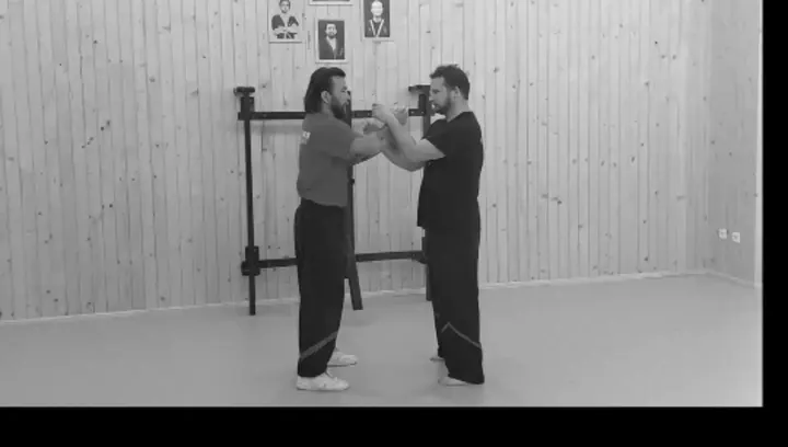Hong Kong Wing Tsun Association - Germany — Martial Arts in Frauenland, Würzburg