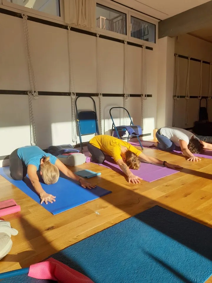 Yoga Ravenna — yoga-studio a Ravenna — 3