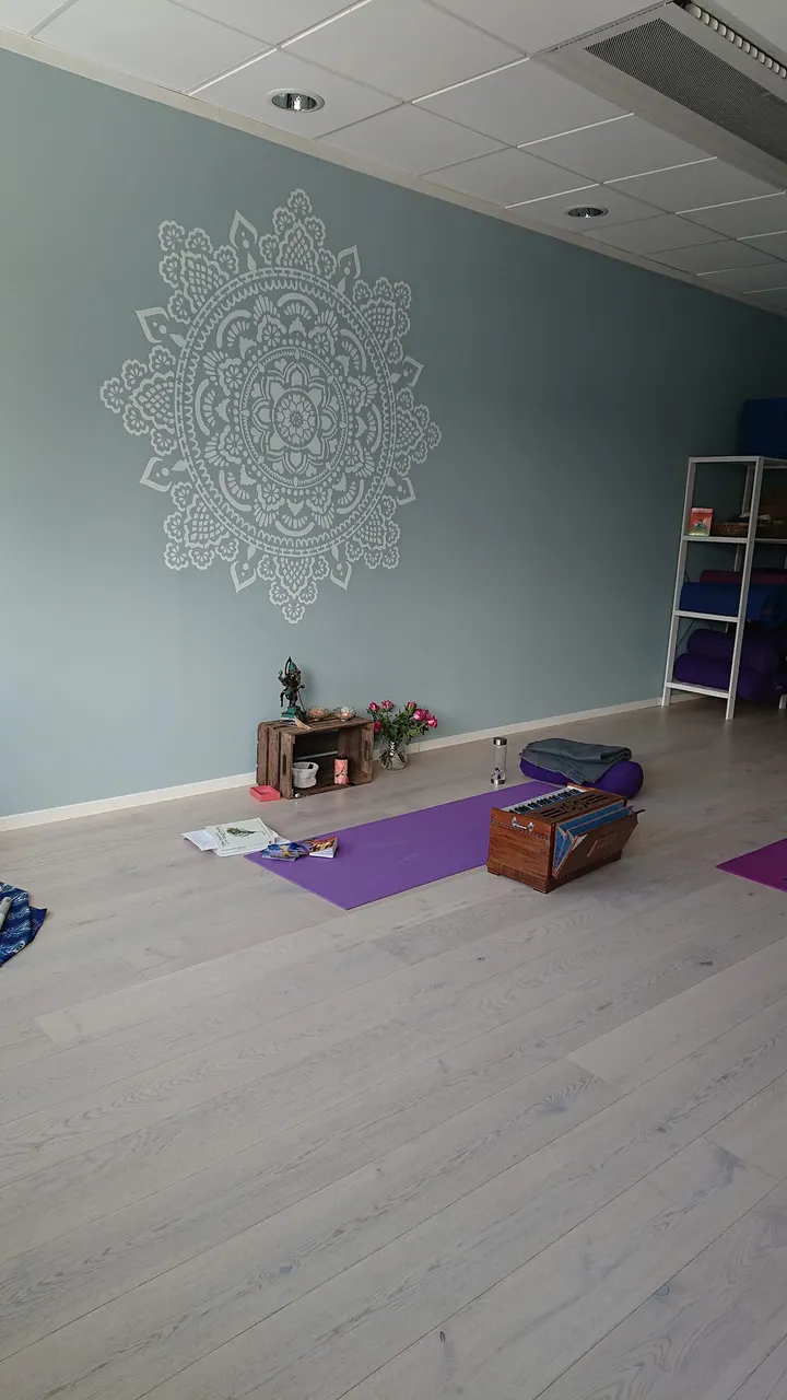 Yin & Yang Yoga Stine Furu — Yoga i Strand, Elverum