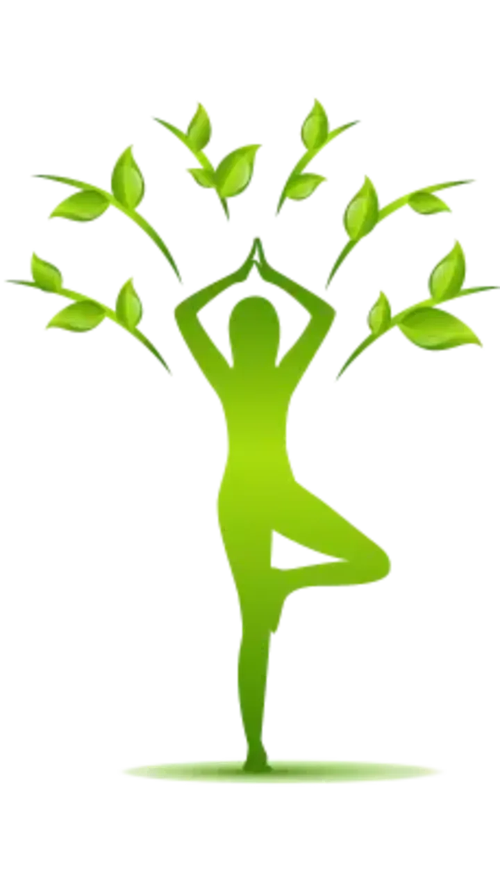 Yogapraxis Padna — yoga-studio in Damperhof, Kiel — 2