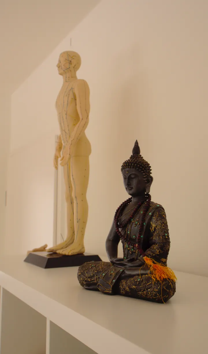 Yogapraxis Padna — yoga-studio in Kiel — 3
