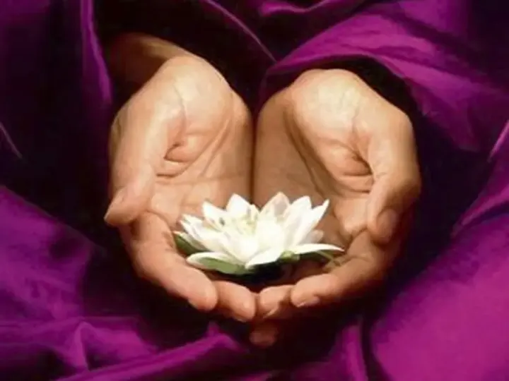 Embody Wellness — wellness-studio in London — 3