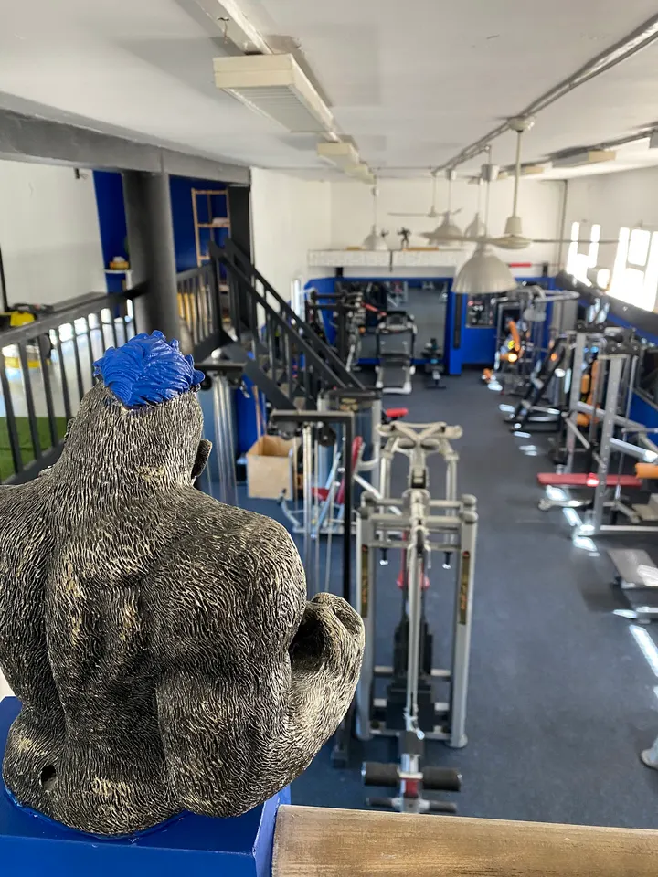 Pacific Gym — salle de fitness-studio à Toulon — 3