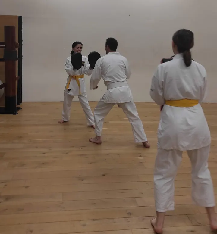 Sen'yuu Karaté — arts martiaux-studio à Paris — 3
