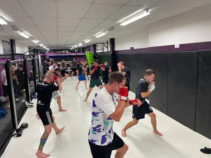 Jax Mixed Martial Arts — martial arts-studio in Montrose — 4
