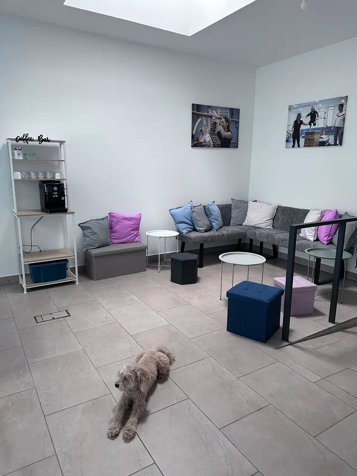 Schielin Sports Für Gross und Klein — pt-studio in Eller, Düsseldorf — 3