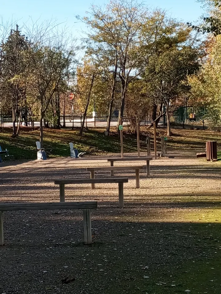 Gimnasio Al Aire Libre — calisthenics-studio en Zaragoza — 4