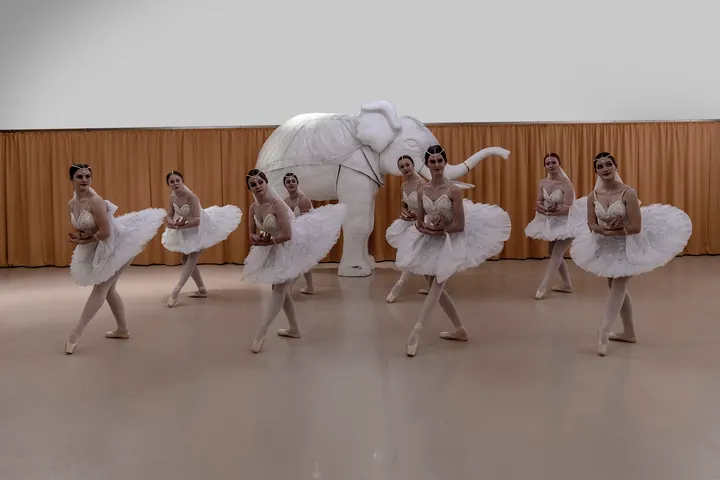 Ballettschule Bielefeld — tanz-studio in Stieghorst, Bielefeld — 3